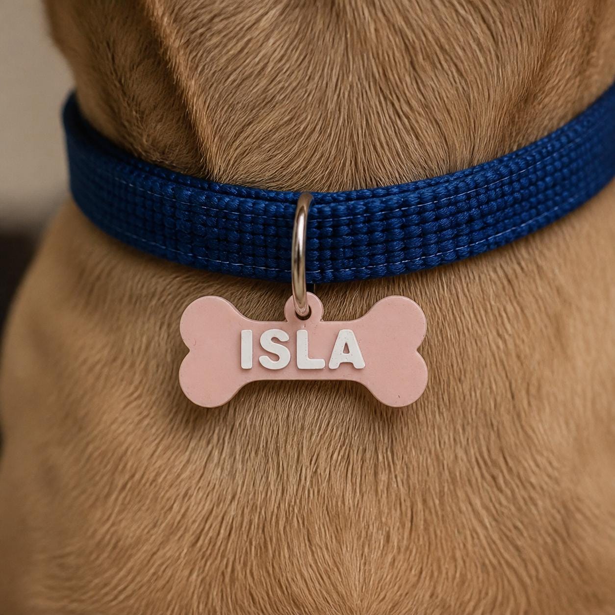 Personalised Bone Dog Name Tag – Lightweight 3D Printed Collar Tag