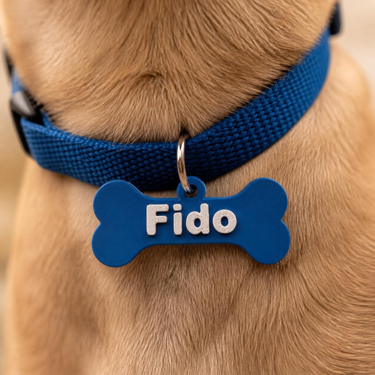 Personalised Bone Dog Name Tag – Lightweight 3D Printed Collar Tag